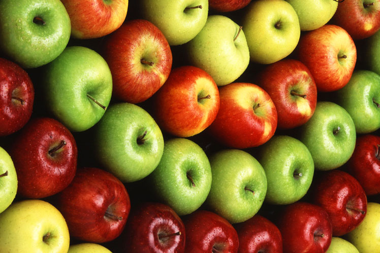 Elma Meyvesi Özellikleri