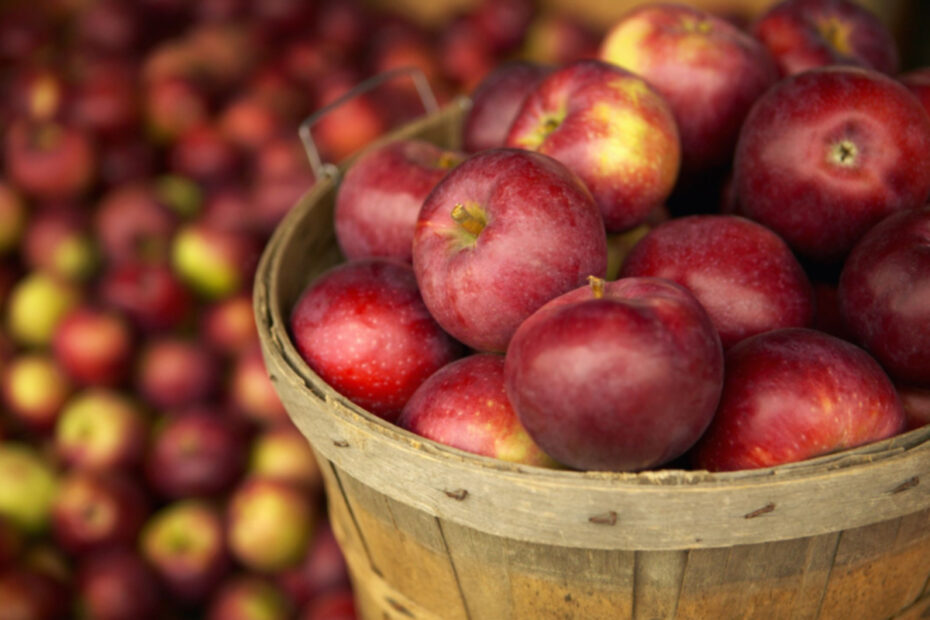Elmanın Faydaları: Elmanın Sağlık Üzerindeki Mucizevi 7 Faydası