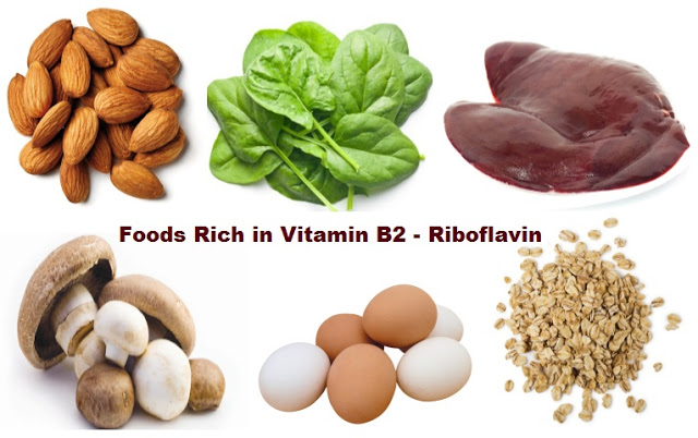 natural+sources+of+riboflavin